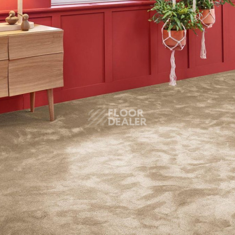Vorwerk Superior 1067 Mira Vorwerk 8k06 фото 2 | FLOORDEALER