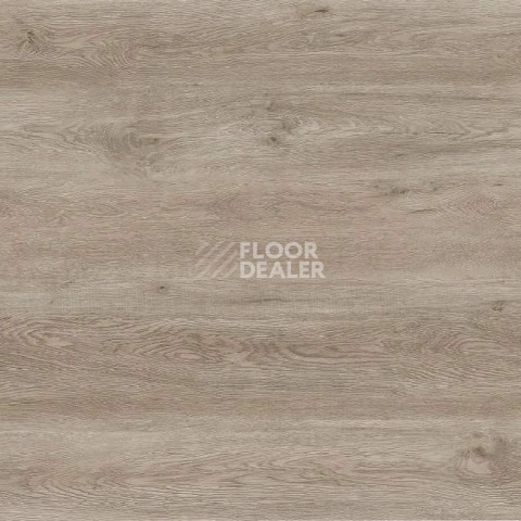 Кварцвиниловые полы Evofloor Life Click 4.2мм Дуб Сите фото 1 | FLOORDEALER