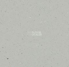 Линолеум Forbo SureStep  Fast Fit 6171032 smoke фото 1 | FLOORDEALER