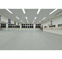 Apoluza SportFloor PVC Dance 2.0 01 Dark gray фото 3 | FLOORDEALER