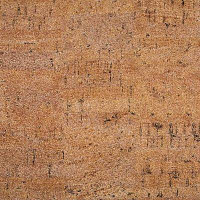 Линолеум Novoflor Standard 4650_2 фото 1 | FLOORDEALER