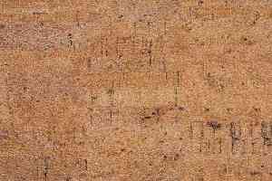 Линолеум Novoflor Standard 4650_2 фото  | FLOORDEALER