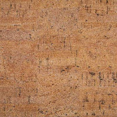 Линолеум Novoflor Standard 4650_2 фото 1 | FLOORDEALER