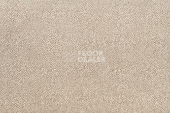 Lano Sense Pure 312 фото 2 | FLOORDEALER