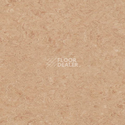 Линолеум Gerflor Marmorette DLW 2.5mm 0075 Light Aurora фото 1 | FLOORDEALER