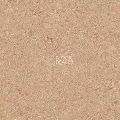 Линолеум Marmorette DLW 2.5mm 0075 Light Aurora фото 1 | FLOORDEALER