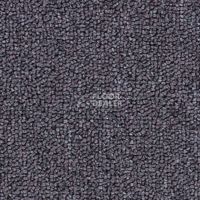 Ковролин Salisbury Beaulieu of America 307 фото 1 | FLOORDEALER