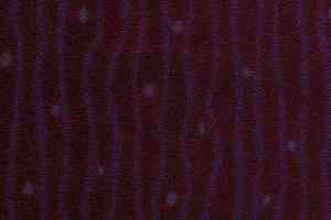 Ковролин Les Best Design II - Bagatelle Bagatelle 880 фото  | FLOORDEALER