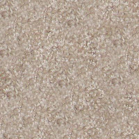 Ковролин Hidden Treasure Beaulie of America Natural 29 фото 1 | FLOORDEALER