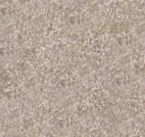 Ковролин Hidden Treasure Beaulie of America Natural 29 фото 1 | FLOORDEALER