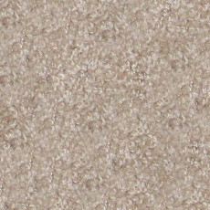 Ковролин Hidden Treasure Beaulie of America Natural 29 фото 1 | FLOORDEALER