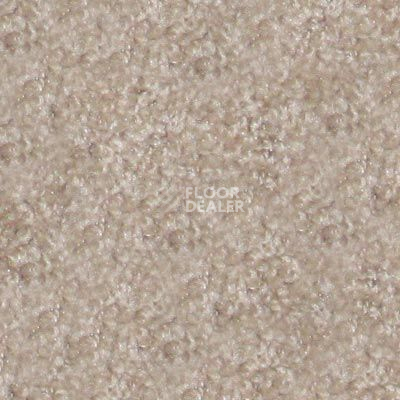 Ковролин Hidden Treasure Beaulie of America Natural 29 фото 1 | FLOORDEALER