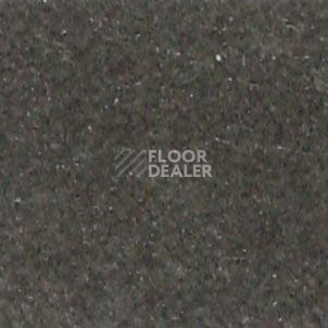Ковролин Shaw all That Jazz 21325 фото 1 | FLOORDEALER