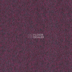 Ковровая плитка Tarkett Sky Original Sky 74582 фото 1 | FLOORDEALER