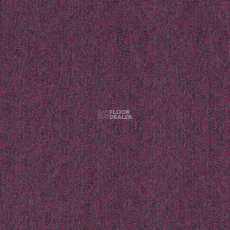 Tarkett Sky Original Sky 74582 фото 1 | FLOORDEALER