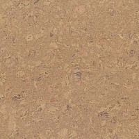 Пробковое покрытие Cork Essence P805002   Personality Champagne фото 1 | FLOORDEALER