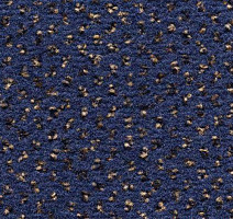 Ковролин Condor Carpets Argus 420 фото 1 | FLOORDEALER