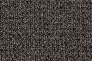 Ковролин Desso Conga 9513 фото  | FLOORDEALER