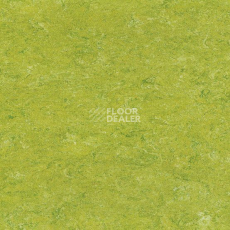 Линолеум Marmorette DLW 2.5mm 0132 Lime Green фото 1 | FLOORDEALER