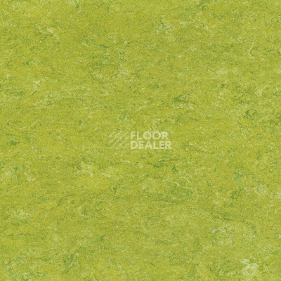Линолеум Marmorette DLW 2.5mm 0132 Lime Green фото 1 | FLOORDEALER