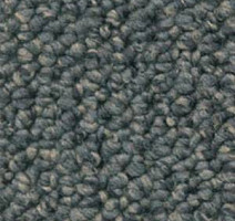 Ковролин Dura Loop 810 фото 1 | FLOORDEALER