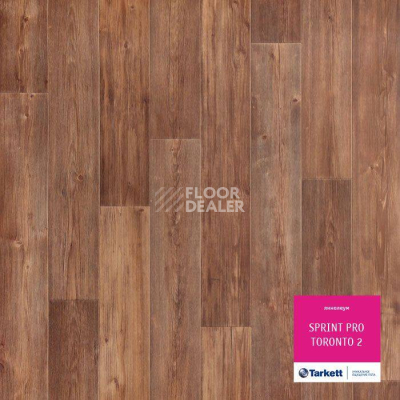 Линолеум Tarkett Sprint Pro Toronto 2 фото 1 | FLOORDEALER