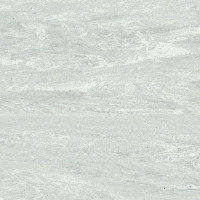 Линолеум Polyflor Sd 5110 фото 1 | FLOORDEALER