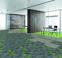 Tarkett Domino 55193 Domino фото 2 | FLOORDEALER