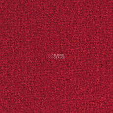 Balsan Les Best 565 фото 1 | FLOORDEALER