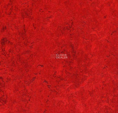 Marmoleum Modular Colour 3127 фото 1 | FLOORDEALER