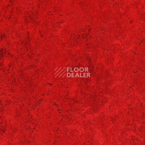 Кварцвиниловые полы Forbo Marmoleum Modular Colour 3127 фото 1 | FLOORDEALER