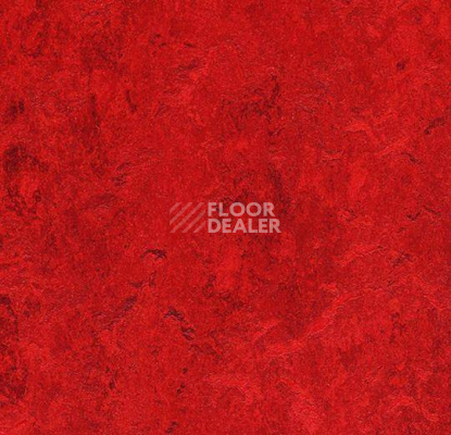 Кварцвиниловые полы Forbo Marmoleum Modular Colour 3127 фото 1 | FLOORDEALER