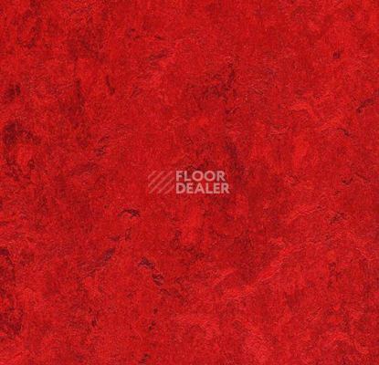 Кварцвиниловые полы Marmoleum Modular Colour 3127 фото 1 | FLOORDEALER