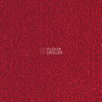 Ковролин Balsan Les Best 565 фото 1 | FLOORDEALER