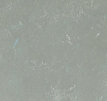 Линолеум Arabesque 0305 Monarca фото 1 | FLOORDEALER