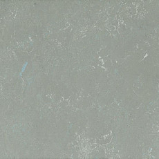 Линолеум Arabesque 0305 Monarca фото 1 | FLOORDEALER