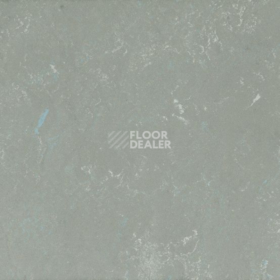 Линолеум Arabesque 0305 Monarca фото 1 | FLOORDEALER