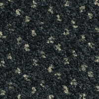 Balsan Capitol Capitol 990 фото 1 | FLOORDEALER