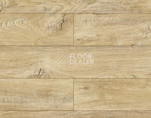 Ламинат Kronopol Platinium Akaba AQUA BLOCK 8mm Kronopol Platinium Akaba Aqua Block 24h Дуб Табита D3947 фото 1 | FLOORDEALER