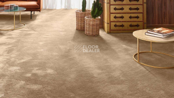Vorwerk Exclusive 1060 Safira 7g61 фото 2 | FLOORDEALER