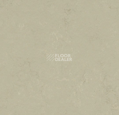 Линолеум Forbo Marmoleum Decibel on Order 375835 shale фото 1 | FLOORDEALER