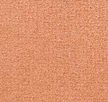 Ковролин Radici Montecarlo 71 фото 1 | FLOORDEALER