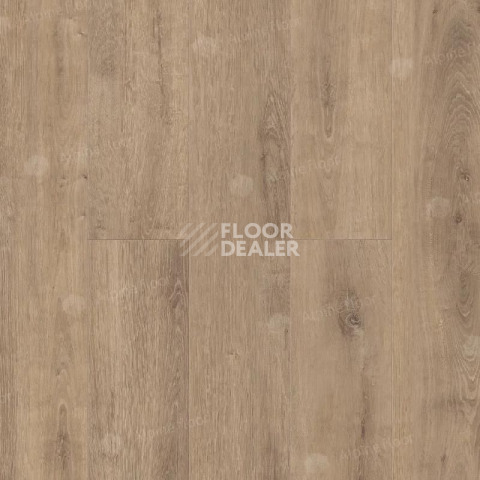 Ламинат Alpine Floor Legno Extra 8мм L1002 ДУБ КАРАМЕЛЬ фото 1 | FLOORDEALER