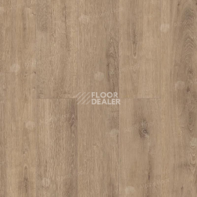 Ламинат Alpine Floor Legno Extra 8мм L1002 ДУБ КАРАМЕЛЬ фото 1 | FLOORDEALER