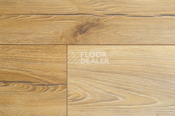 Kronopol Aurum Sound d3884 Дуб Опера фото 3 | FLOORDEALER