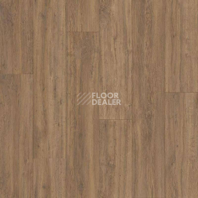 Линолеум Tarkett Lux Falcon 4 фото 1 | FLOORDEALER