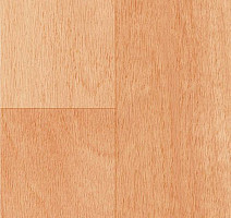 Линолеум Graboflex Gymfit Wood 50 4217-671-1 фото 1 | FLOORDEALER