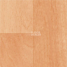 Линолеум Graboflex Gymfit Wood 50 4217-671-1 фото 1 | FLOORDEALER