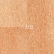 Линолеум Graboflex Gymfit Wood 50 4217-671-1 фото 1 | FLOORDEALER