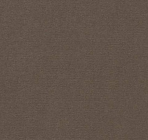 Ковролин Vorwerk Passion 1021 Vorwerk 7e59 фото 1 | FLOORDEALER